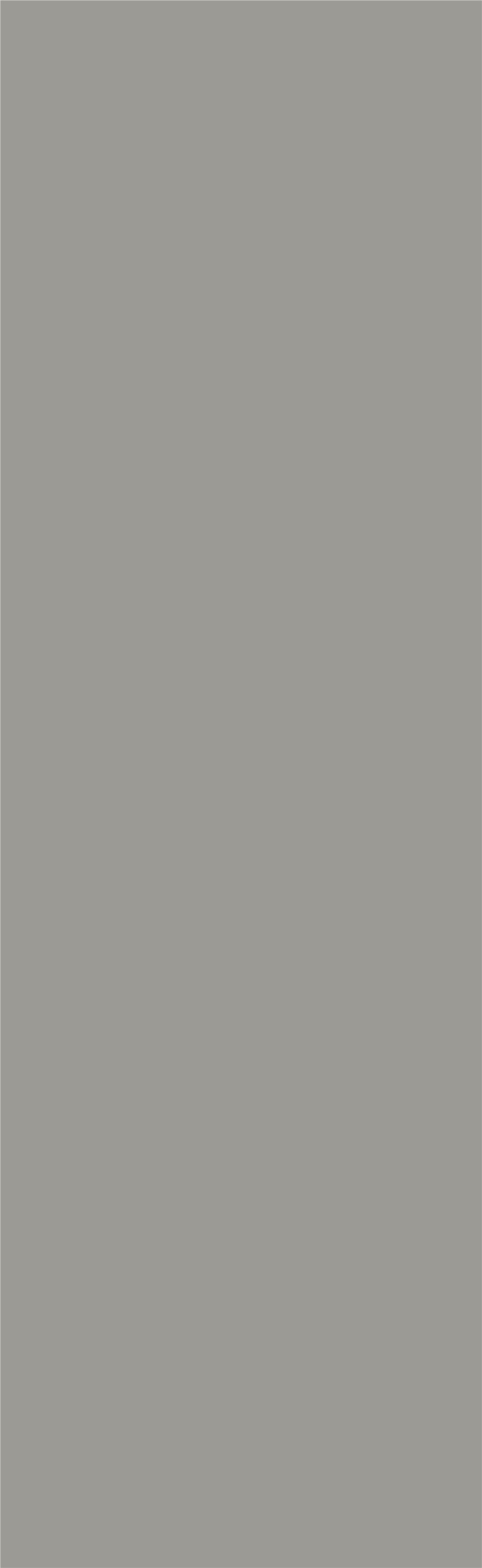 NF-2LB260845-006银蚀灰纯色瓷砖