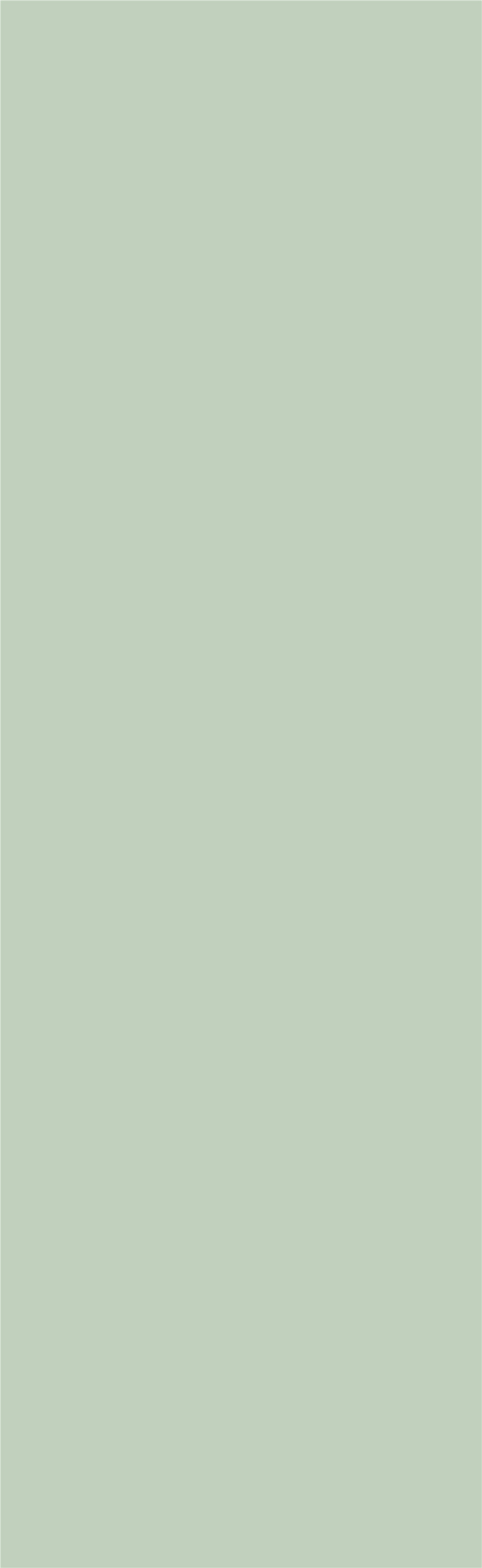 NF-LB260845-014浅暖绿纯色瓷砖