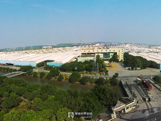  广东佛山三水